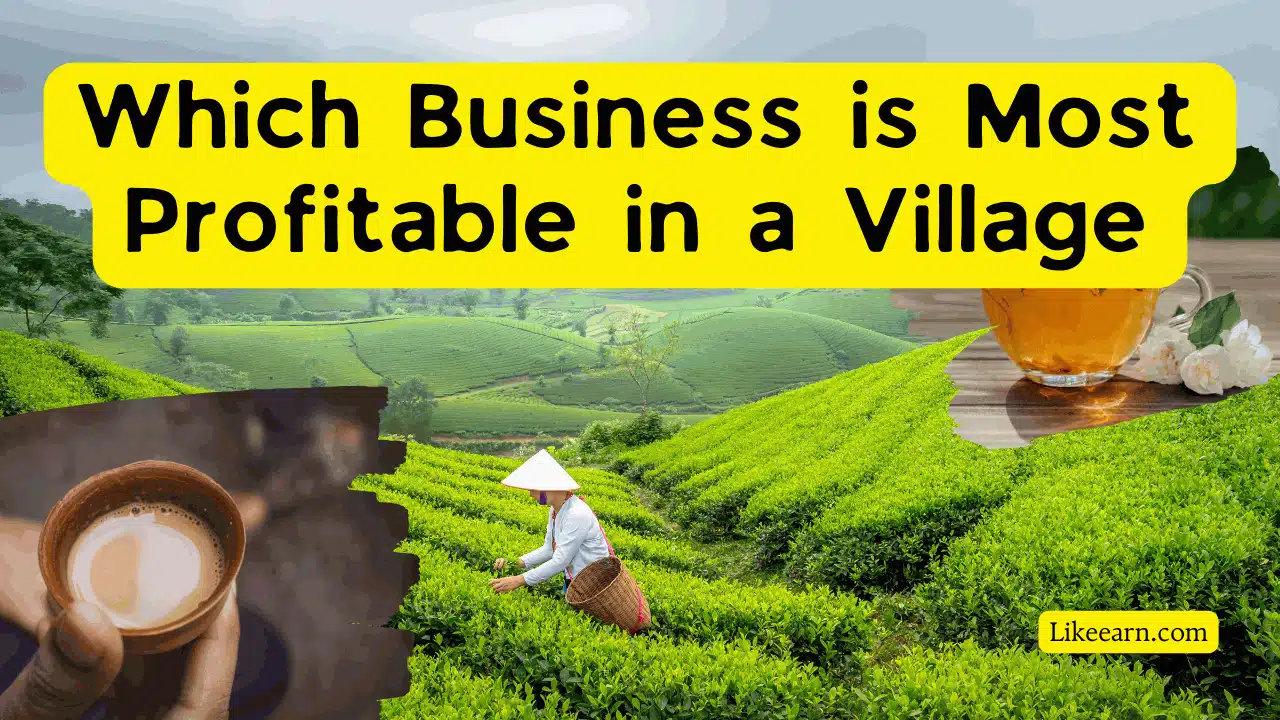 Which Business is Most Profitable in a Village