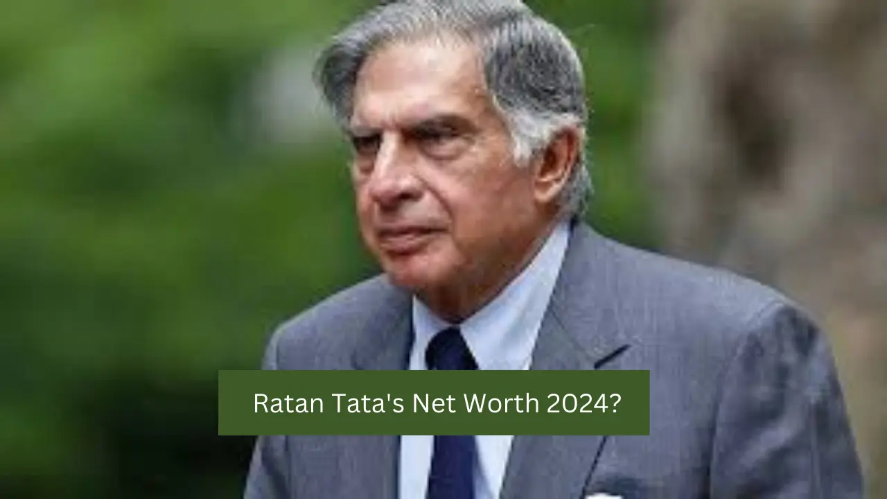 Ratan Tata's Net Worth 2024?